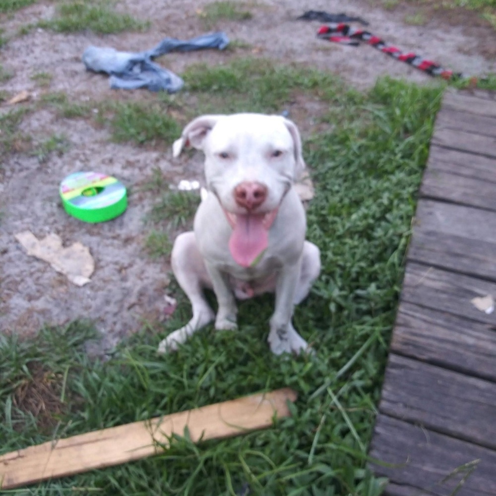 Meet your Posher, Natasha